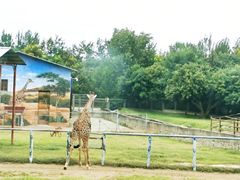 -西安秦岭野生动物园
