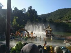 -西双版纳原始森林公园
