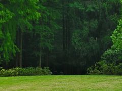 -上海共青森林公园