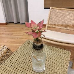 -ANNIL安奈尔·NASX超透白·科技抗衰·问题性肌肤管理
