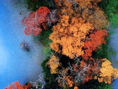 -罗红摄影艺术馆