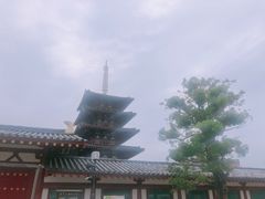 -有栖山 清光院 清水寺