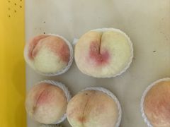 -老袁家蜜桃农场·阳山水蜜桃