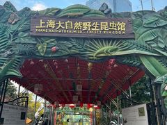 -上海大自然野生昆虫馆(东方明珠·爬宠昆虫探索中心)