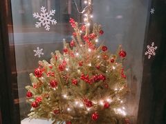 -Ocean's Table 欧舍