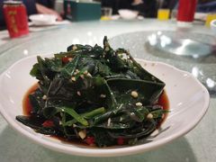 -新概念来凤鱼(璧山店)