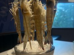 -海月轩海鲜豆捞(紫金塔店)