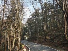 -潜山国家森林公园
