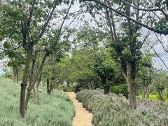 -呈贡滇池生态湿地公园