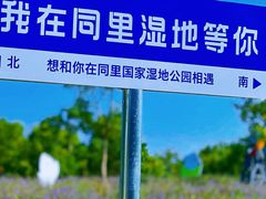 -同里国家湿地公园