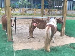 点击看大图 -萌宠亲子动物乐园(槐房万达店)