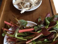 折耳根-岳记兴隆·青城腊排铜火锅(融创店)