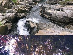 -鹿亭中村
