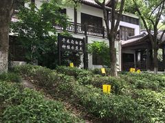 -天目湖山水园