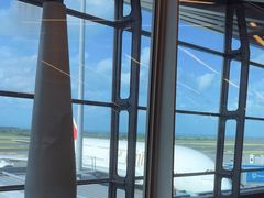 -西沃古尔·拉姆古兰爵士国际机场