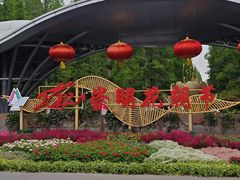 -东平国家森林公园