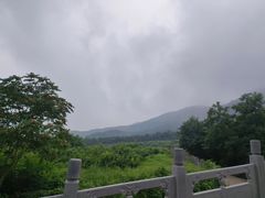 -阳台山自然风景区