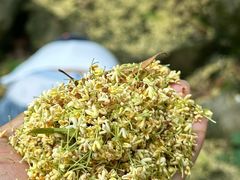-香芙茗茶楼(梅家坞总店)