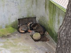 -西霞口神雕山野生动物世界