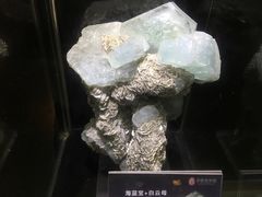 -中华赏石园