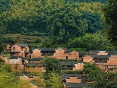 -杨家堂村