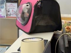 -瑞派康怡24h宠物医院·犬猫医疗中心·微创绝育(瑞景分院)