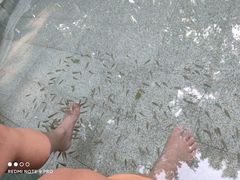 -碧水湾温泉