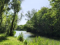 -昆山城市生态森林公园