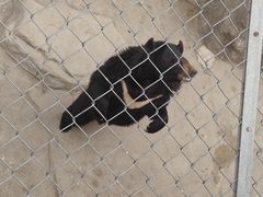 -石家庄市动物园