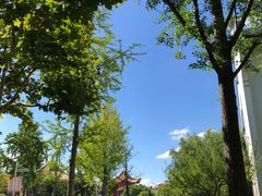 -东方绿舟景区