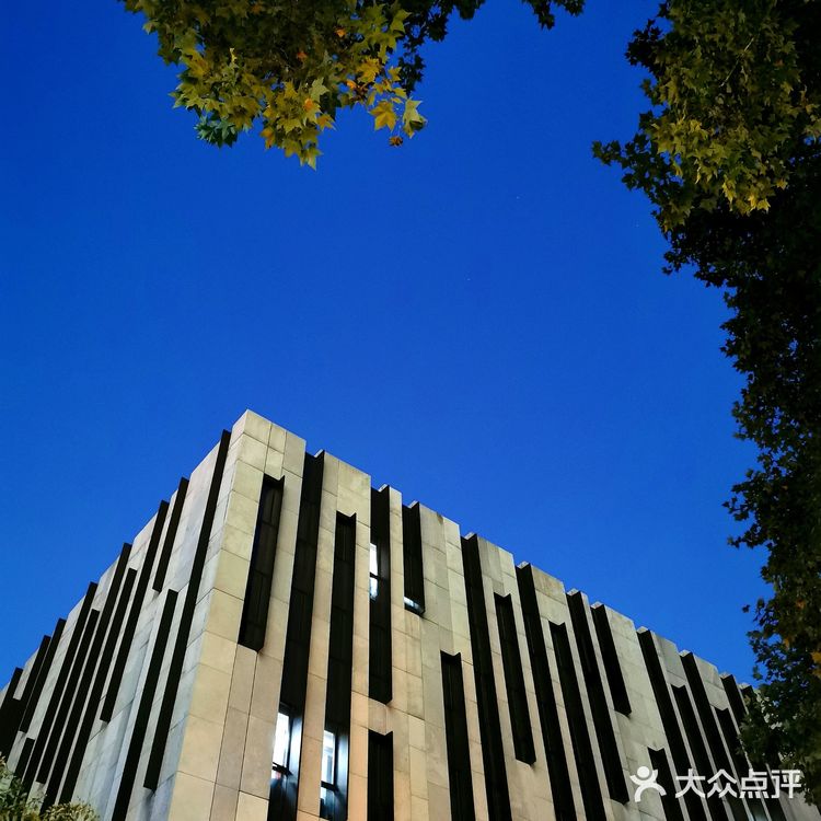 金陵漫游||美术馆.幽蓝的夜