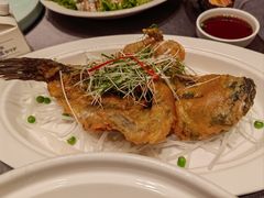 -骏莱海鲜鱼港(五角场店)