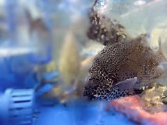 -明本湛江鸡•海鲜小厨(陈家祠店)