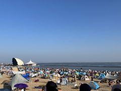 -碧海金沙