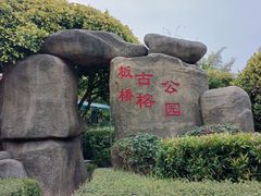-古榕公园