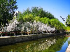 -海棠花溪(元大都城垣遗址公园)