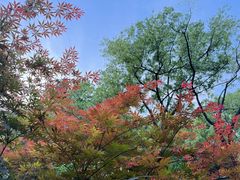 -北仑森林植物园