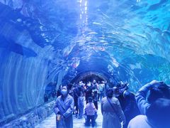 -华夏文旅海洋公园