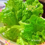 春天吃肉肉[调皮][胜利]