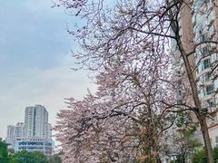 -红星桥(地铁站)
