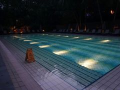 -新加坡丽思卡尔顿美年酒店