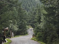 -苏木山森林公园