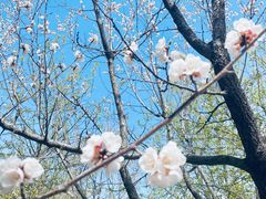 -长春净月潭风景名胜区