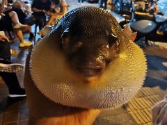 -永安鱼庄·镇江菜(东吴路店)