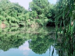 -张鸟园农家乐(张鸟园店)