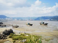 -北岐滩涂