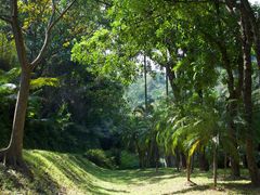 -深圳仙湖植物园