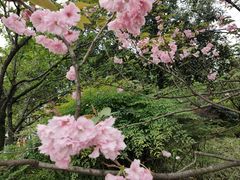 -南山植物园