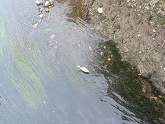 -牛班音乐学校(晶融汇购物中心店)