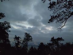 -阳台山森林公园